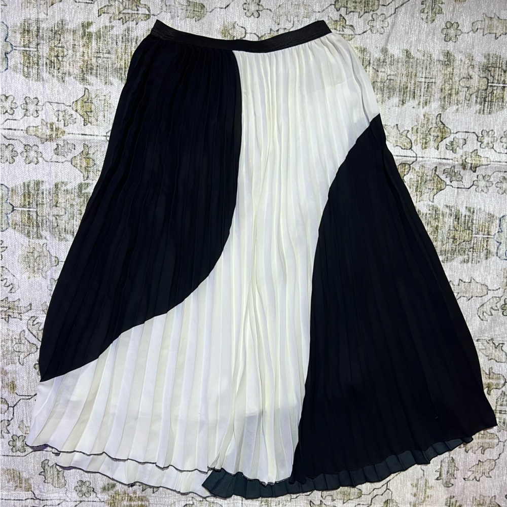 Gorgeous boutique Accordion Skirt